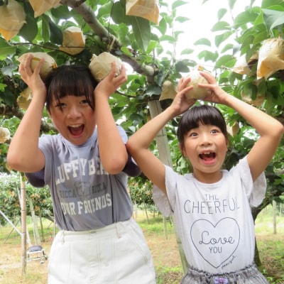 ■三ツ田農園■新甘泉3kg(203M.)