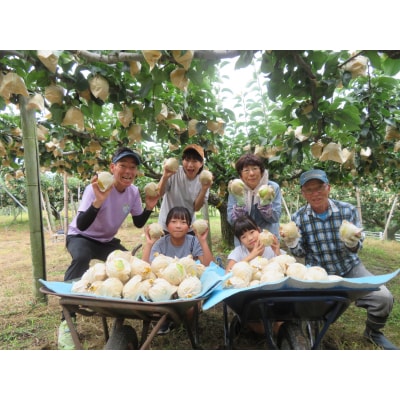 ■三ツ田農園■新甘泉3kg(203M.)