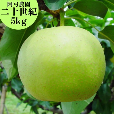 ■阿弓農園■二十世紀5kg(7M.)