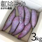 おがわ農園 紅はるか3kg(131K.)