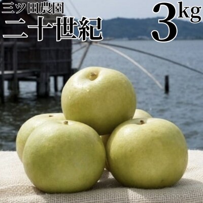 ■三ツ田農園■二十世紀3kg(207M.)