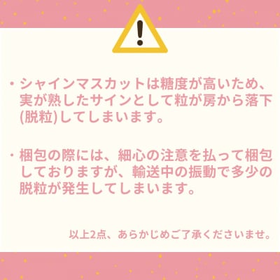 ゆりはまぶどうセット(27M.)