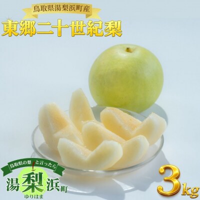 東郷二十世紀3kg(5M.)