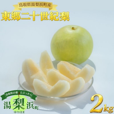 東郷二十世紀2kg(6M.)