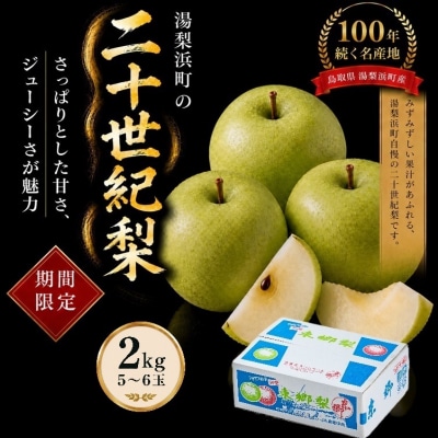 東郷二十世紀2kg(6M.)