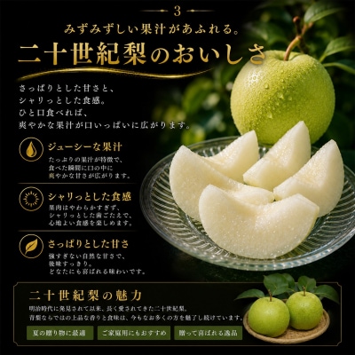 東郷二十世紀2kg(6M.)
