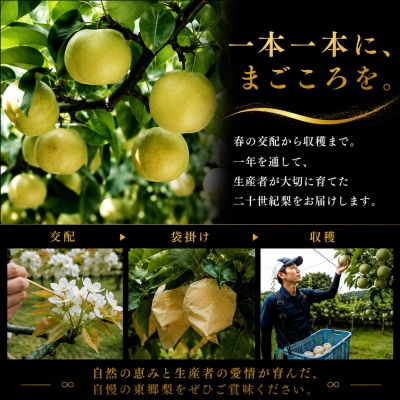 東郷二十世紀2kg(6M.)