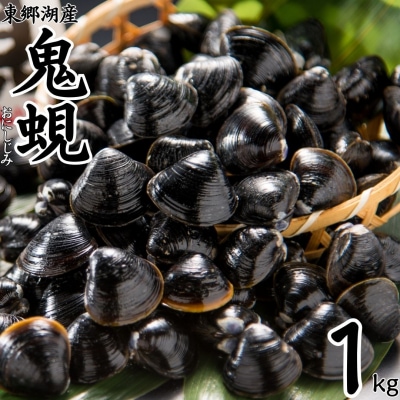東郷湖産鬼蜆〔おにしじみ〕1kg(60M.)