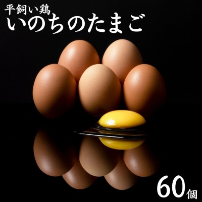 平飼い鶏の『いのちのたまご』60個(136K.)