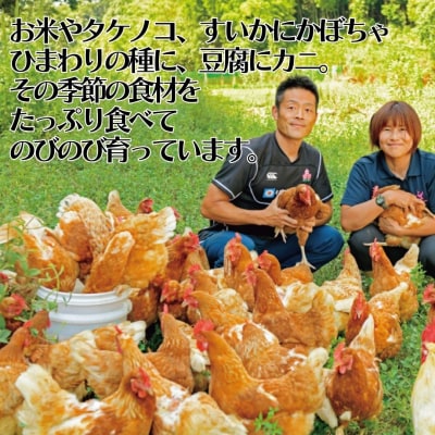 平飼い鶏の『いのちのたまご』60個(136K.)
