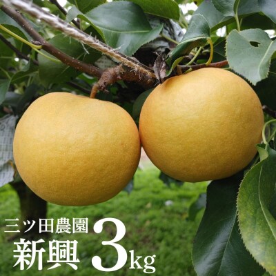■三ツ田農園■新興3kg(11M.)