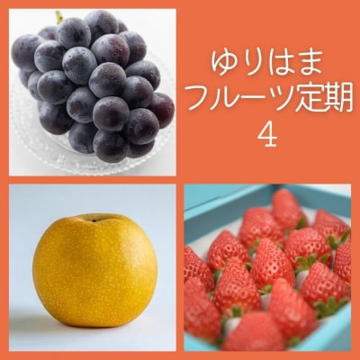 ゆりはまフルーツ定期4(38M.)