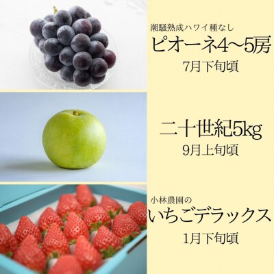 ゆりはまフルーツ定期①(35M.)