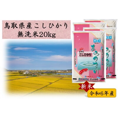 鳥取県産コシヒカリ令和5年度産 20キロ