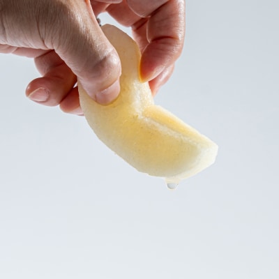 【2026年先行受付】東郷二十世紀2kg(6MS.)