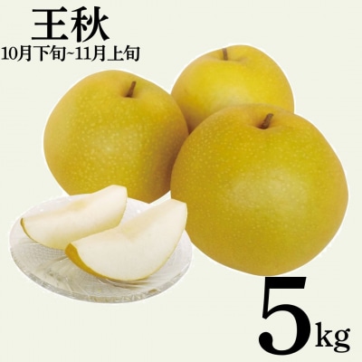 【2026年先行受付】王秋5kg(12MS.)