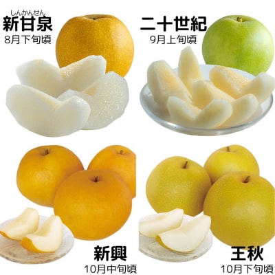 【2026年先行受付】ゆりはま梨セット(15MS.)