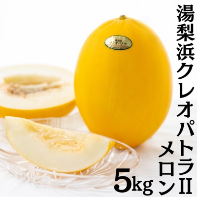【2026年先行受付】湯梨浜クレオパトラ2メロン5kg(19MS.)