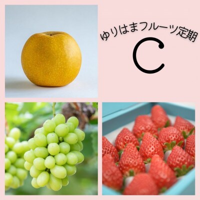 ゆりはまフルーツ定期C(39K.)