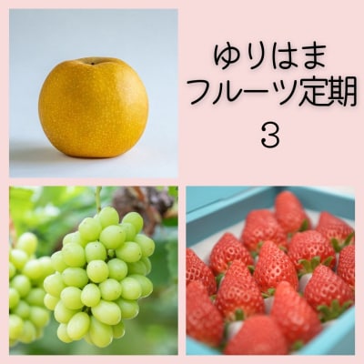 ゆりはまフルーツ定期③(37M.)