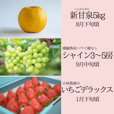 ゆりはまフルーツ定期③(37M.)