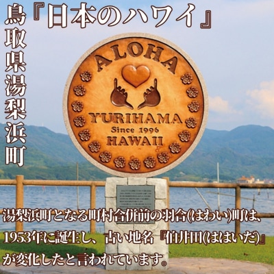 YURIHAMA PEAR KA'U COFFEE 8オンス(369K.)
