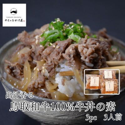 ◆鳥取和牛100%◆牛丼の素3袋セット(123M.)