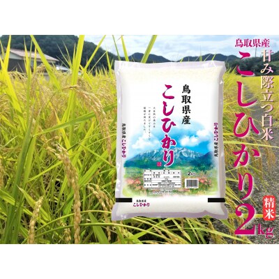 鳥取県産こしひかり◇精米2kg◇令和7年産(42M.)