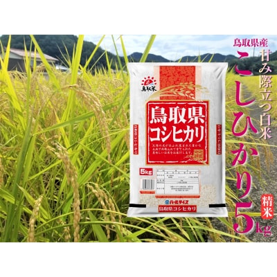 鳥取県産こしひかり◇精米5kg◇令和7年産(43M.)