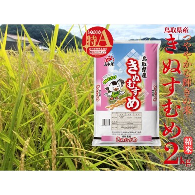 鳥取県産きぬむすめ◇精米2kg◇令和7年産(45M.)