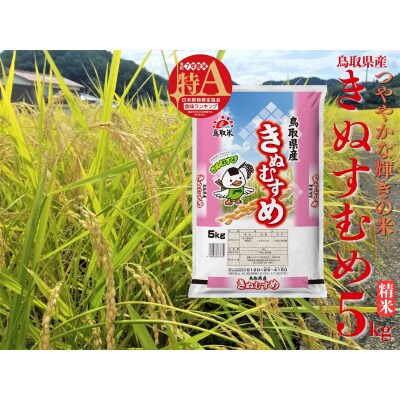 鳥取県産きぬむすめ◇精米5kg◇令和7年産(46M.)