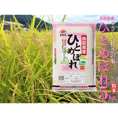 鳥取県産ひとめぼれ◇精米5kg◇令和7年産(225M.)