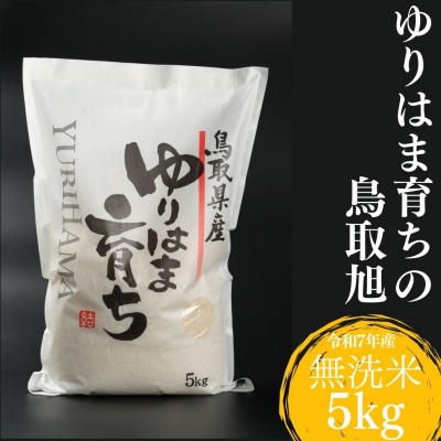 ゆりはま育ちの鳥取旭◇無洗米5kg◇令和7年産(375K.)