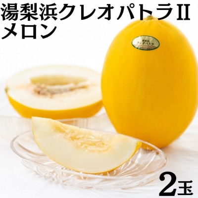 【2026年先行受付】湯梨浜クレオパトラ2メロン 2玉(20MS.)