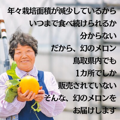 【2026年先行受付】湯梨浜クレオパトラ2メロン 2玉(20MS.)