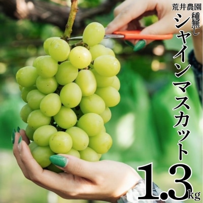 ■荒井農園■種無しシャインマスカット1.3kg(34M.)
