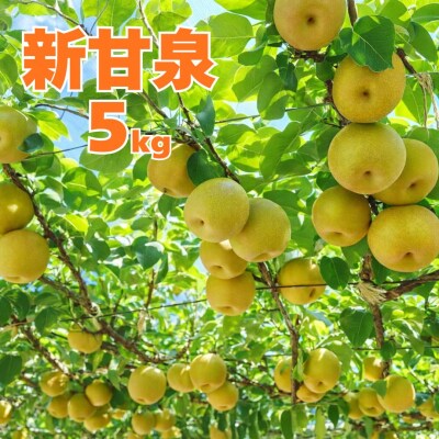 新甘泉5kg■東商果樹園■(361M.)