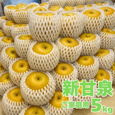 新甘泉5kg〔ご家庭用〕■東商果樹園■(362M.)