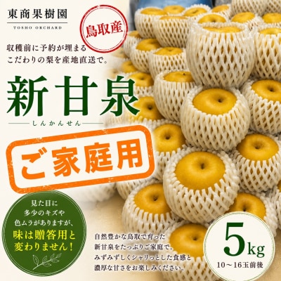 新甘泉5kg〔ご家庭用〕■東商果樹園■(362M.)