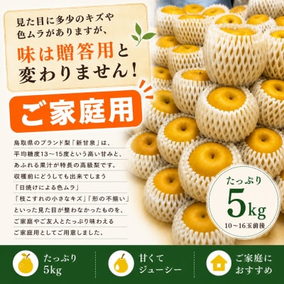 新甘泉5kg〔ご家庭用〕■東商果樹園■(362M.)