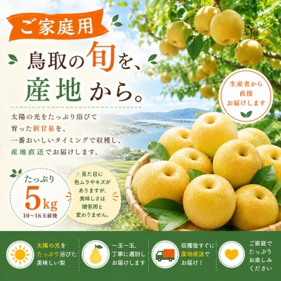 新甘泉5kg〔ご家庭用〕■東商果樹園■(362M.)