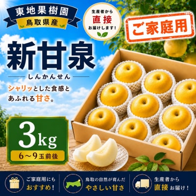 新甘泉3kg〔ご家庭用〕◆東地果樹園◆(364M.)