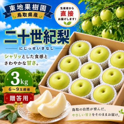 二十世紀3kg◆東地果樹園◆(367M.)