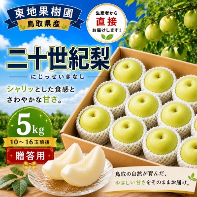 二十世紀5kg◆東地果樹園◆(369M.)