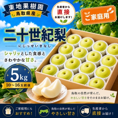 二十世紀5kg〔ご家庭用〕◆東地果樹園◆(370M.)