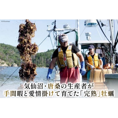 完熟牡蠣のオイスターソース 160g×3 石渡商店  20563369