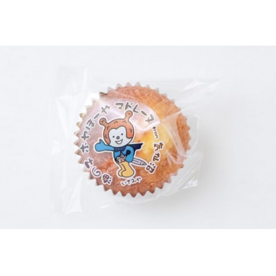 【ホヤぼーや】お菓子詰合せ(15個入) [御菓子司いさみや 宮城県 気仙沼市 20563367]
