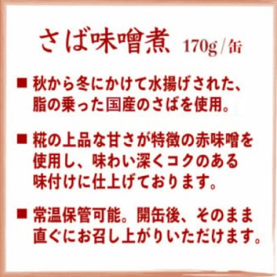 缶詰 国産 さば味噌煮 170g 24缶【DHA・EPA・長期保存可能】 20566142