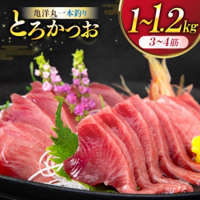 【TVで紹介!】亀洋丸一本釣りとろかつお 1kg～1.2kg [阿部長商店 20565040]