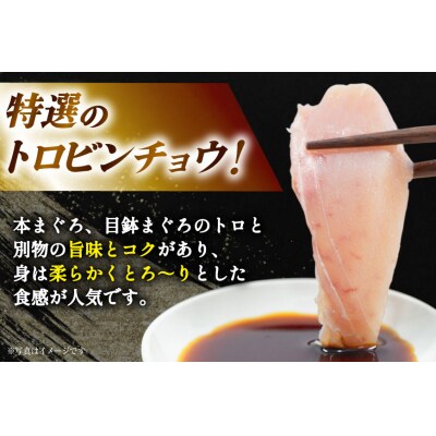 特撰 トロビンチョウ 300g 川印 20563396